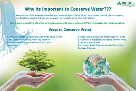 water conservation definition measures reasons niche agriculture