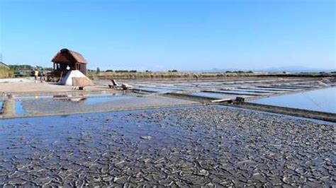 Cervia, scarsa produzione di sale nel 2015. Il sindaco ...