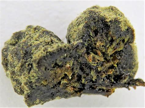 The latest tweets from the moon rocks (@themoonrocks). Moon Rocks - sativa - Cannabytics - One stop cannabis analysis