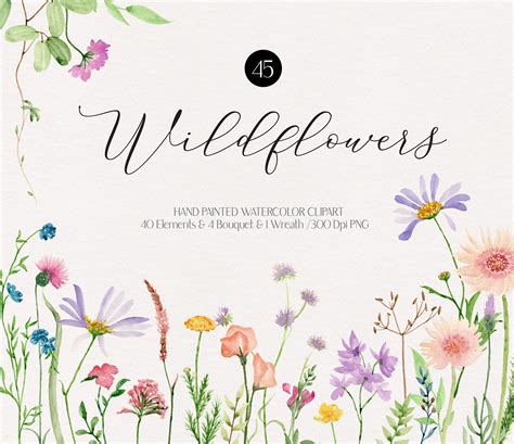 Watercolor Wildflower Clipart Boho Floral Clipart Wildflower Etsy