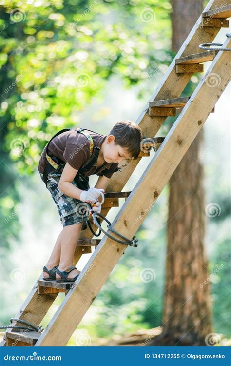 Boy Climbing Ladder With Equipment In Adventure Rope Park Stock Image