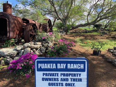 Puakea Bay Ranch Photos