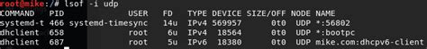 How do i check port usage in linux? How to Check for Open Ports in Linux - Make Tech Easier