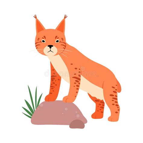 Lynx Next To The Stone Vector Illustration On A White Background