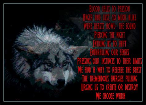Pin By Kristen Fay On Wolf Sayings And Wolf Wisdom En Wolves Quotes