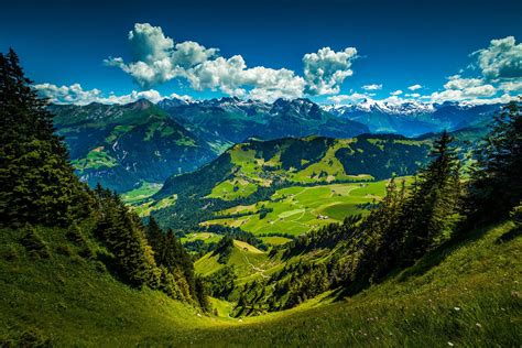 Picture Of The Day Atop The Stanserhorn In The Swiss Alps