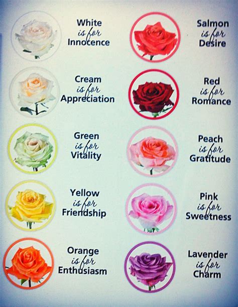 Rose meanings | Rose color meanings, Flower meanings, Rose ...