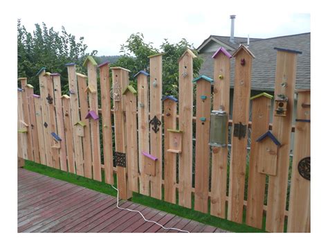 Incredible How To Create A Natural Privacy Fence References