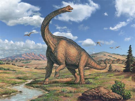 Dinossauros herbívoros Quais são tipos características exemplos