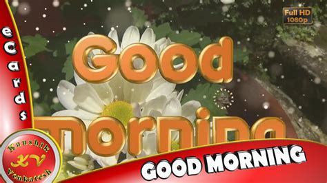 Good Morning Wisheswhatsapp Videogreetingsanimation