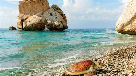 Best Beaches In Cyprus Lonely Planet