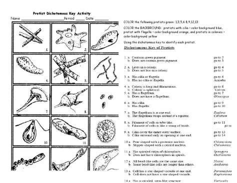 Use the key below to identify the monster. Pin on Activities