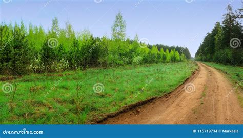 Road In A Forest On A Cloudy Day Stock Photo Image Of Blue Autumn
