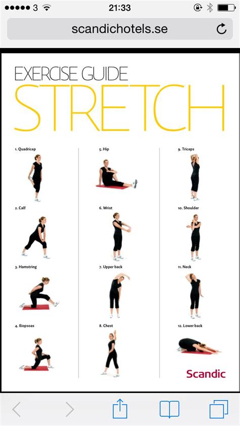 Simple Basic Stretch Exercises Just Simple Step Cardio Workout Routine