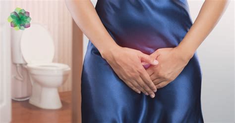 What Is A Prolapsed Bladder The Symptoms And How Do I Treat It