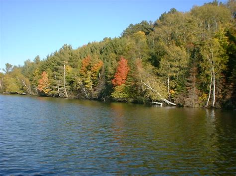 Solon Springs Wi Lake St Croix In The Fall Photo Picture Image