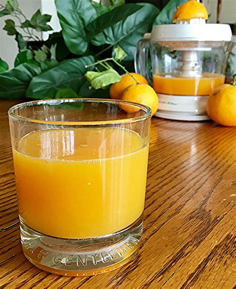 Fresh Orange Juice Recipe Orange Juice Recipes Orange Recipes