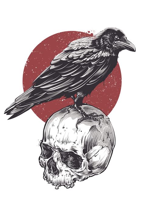 28 Skeleton Head Drawing Raven Skull Crow Vector Expendables Tattoo