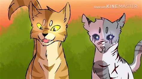 Top 10 Favorite Warrior Cats Couples Youtube