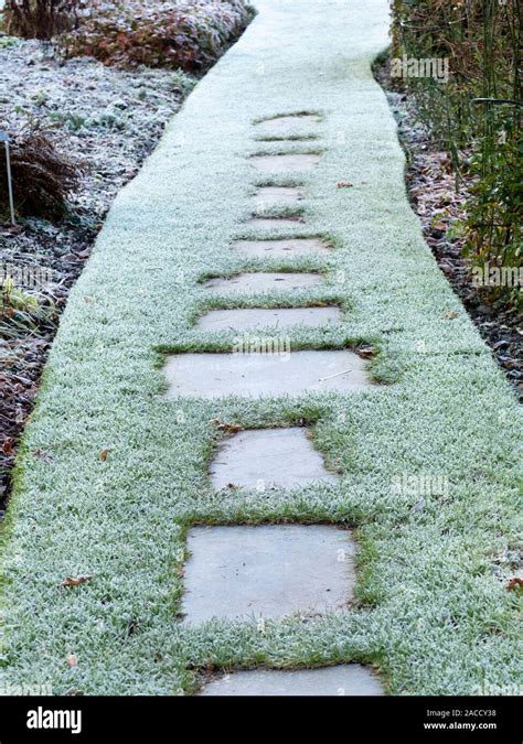 Stepping Stones Garden Hi Res Stock Photography And Images Alamy