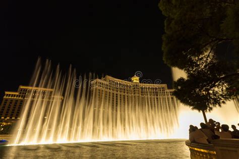 The Bellagio Fountains At Night In Las Vegas Editorial Stock Image