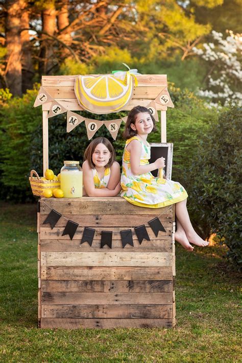 lemonade stand pictures lemonade minis knoxville photographers