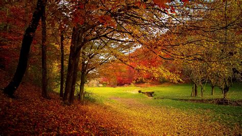 Autumn Wallpaper Hd ·① Download Free Wallpapers For Desktop Mobile Laptop In Any Resolution