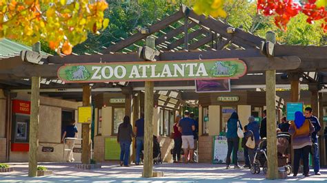 Zoo Atlanta In Atlanta Georgia Expedia