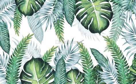 Tropical Palm Leaf Wallpaper Mural Wallmur