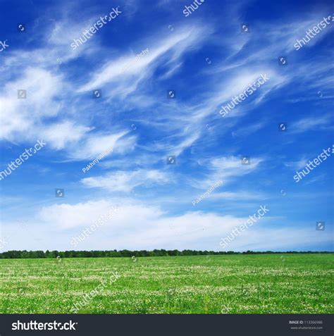 Green Field And Blue Sky Stock Photo 113366986 Shutterstock