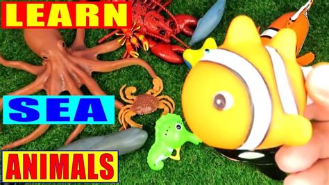Sea Animals Toys Matching Game Learn Sea Animals Names Youtube