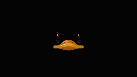 2560x1440 Duck Minimal 4k 1440p Resolution Hd 4k Wallpapers Images