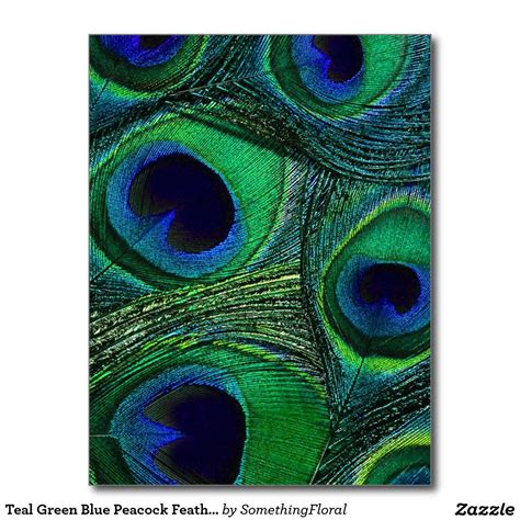 Teal Green Blue Peacock Feather Print Pattern Postcard Uk