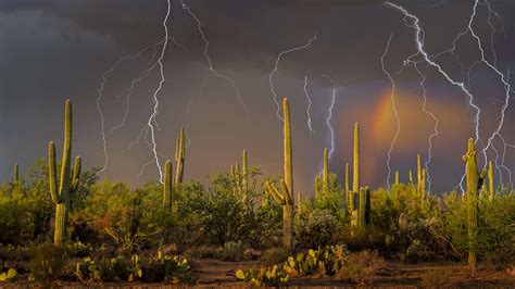 The Monsoon Arrives In The Desert By Microsoft Wallpapers Wallpaperhub