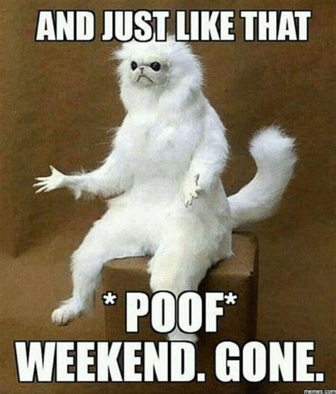 24 Funny Weekend Memes Celebrate The End Of The Week Fridayapp
