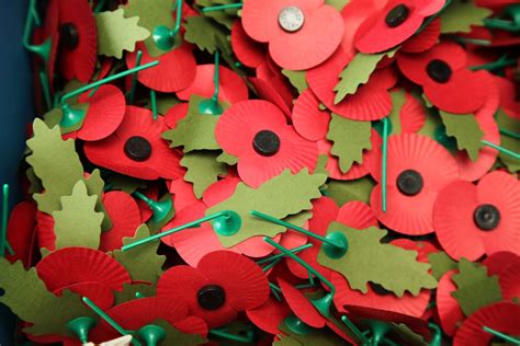 Where To Buy Remembrance Day Poppies In 2020