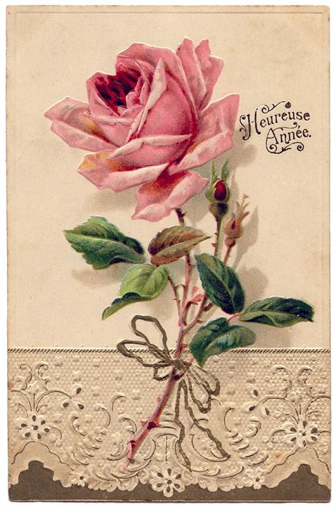 French Image Beautiful Rose With Lace The Graphics Fairy