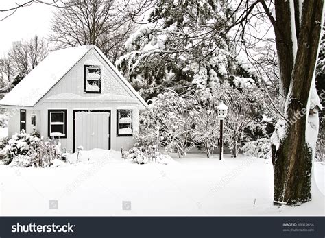 Images Of Snow Covered Trees In A Backyard After Large Winter Snow