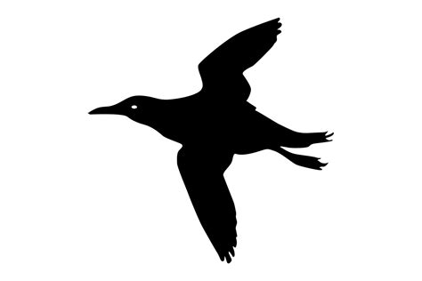 Thin Billed Murre Bird Silhouette Graphic By Idrawsilhouettes