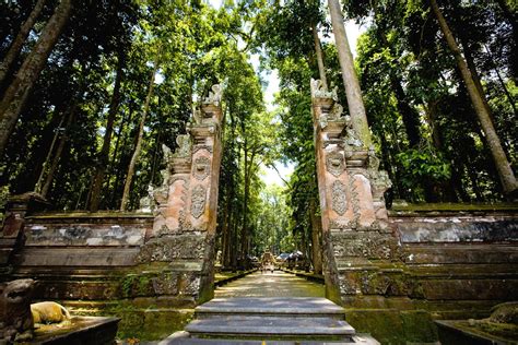 Sangeh Monkey Forest Bali Mahalocz