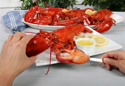 A few tips on how to eat a whole Maine Lobster