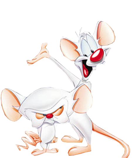 Pinky And The Brain Png Free Download Png Mart