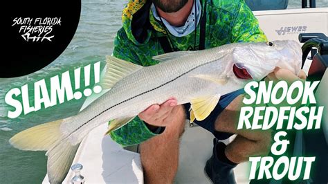 Backcountry Slam Snook Redfish And Trout Catch And Clean Youtube