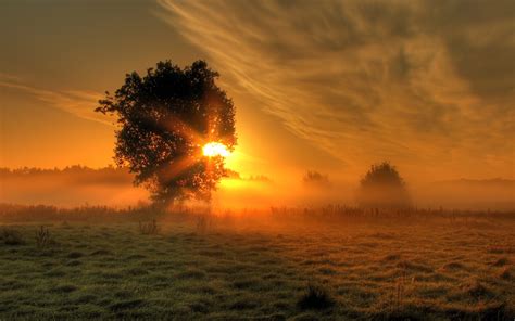 Sunrise Full Hd Wallpaper And Background Image 2560x1600 Id110830