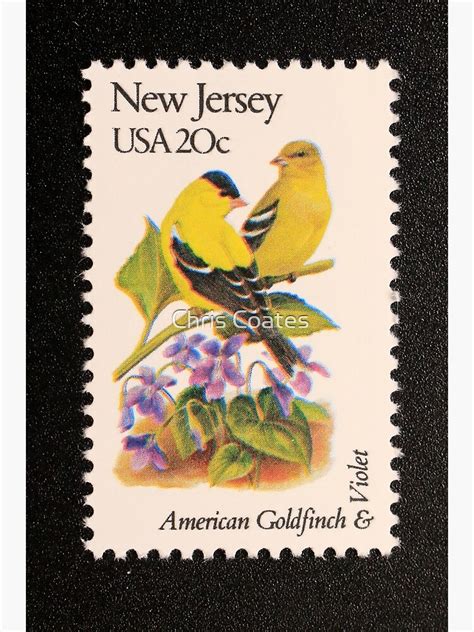 1982 20c New Jersey State Bird And Flower Postage Stamp Art Print For