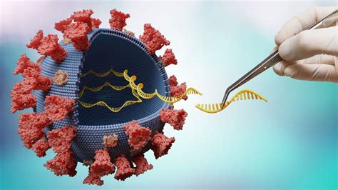 ^ sp identifica primeiro caso de variante do coronavírus em passageiro vindo da índia 26/05/2021 g1.globo.com, accessed 26 may 2021. Delta: las cinco mutaciones que hacen a esta variante del ...