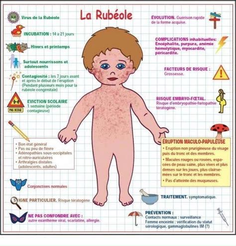 Baby Checklist Co Parenting Anatomy And Physiology Data