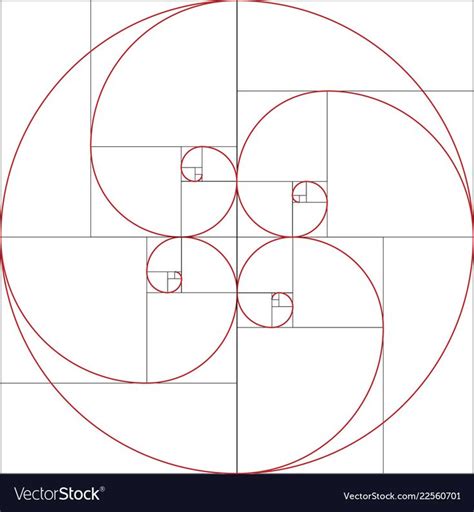 Colorful Vector Illustration Of Fibonacci Spiral Golden Ratio