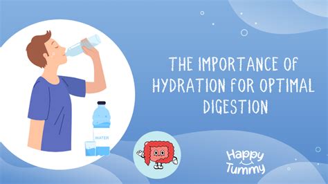 Hydration Why Proper Hydration Is Important For Digestion Happytummy