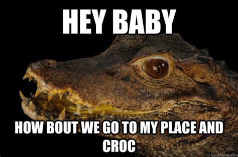 Dirty Crocodile Memes Quickmeme